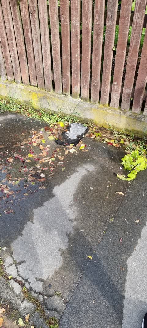 Water Leak, a report photo