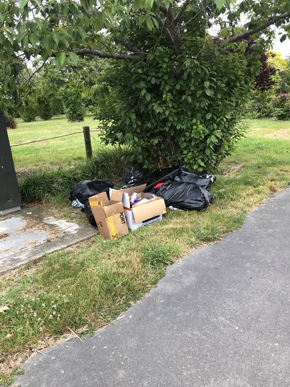 The photograph attached to this rubbish/recycling report