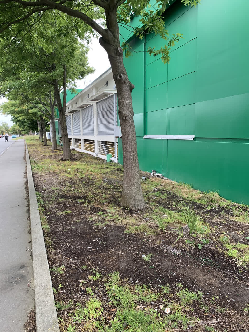 The photograph attached to this parks report