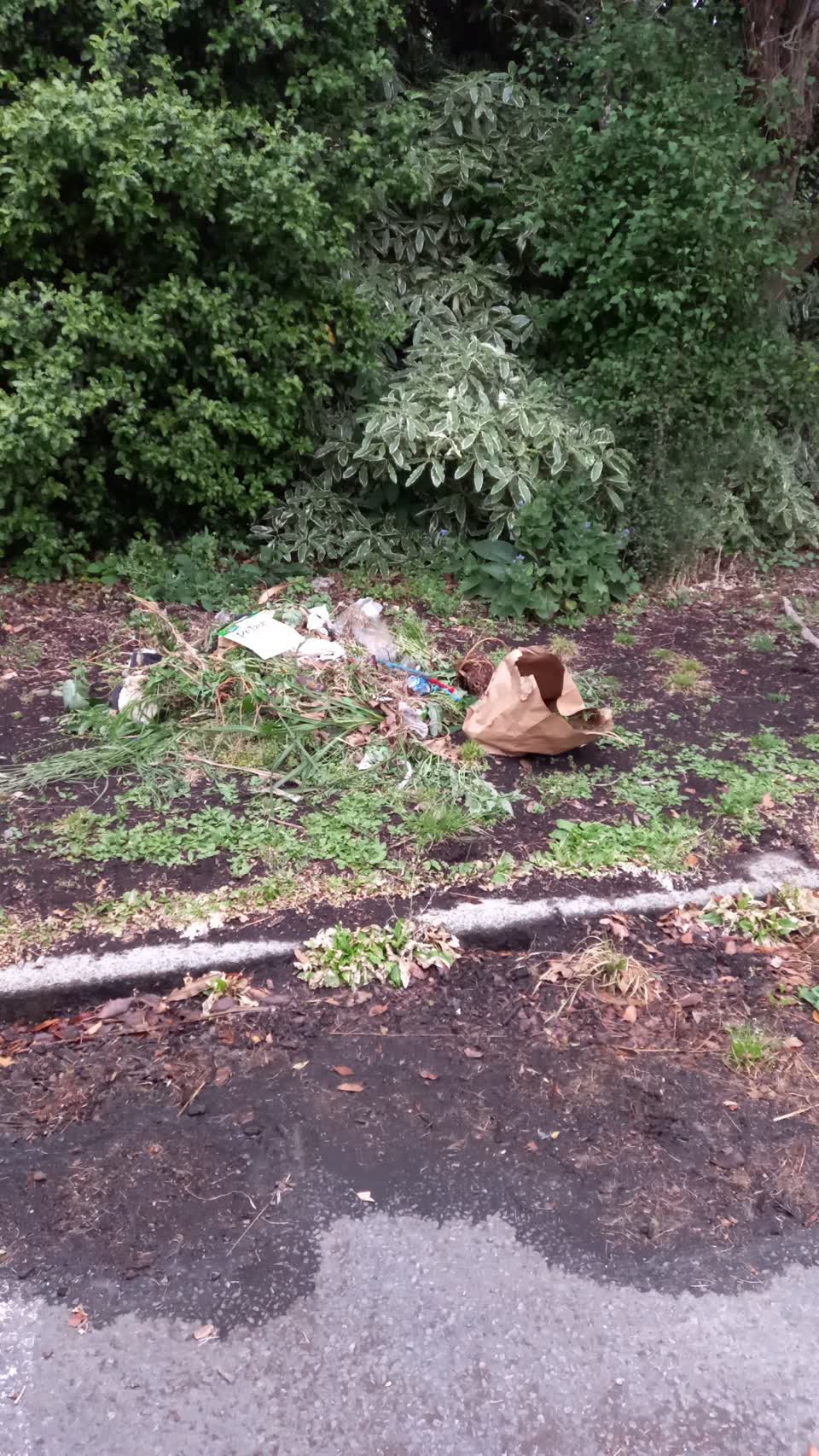 The photograph attached to this parks report