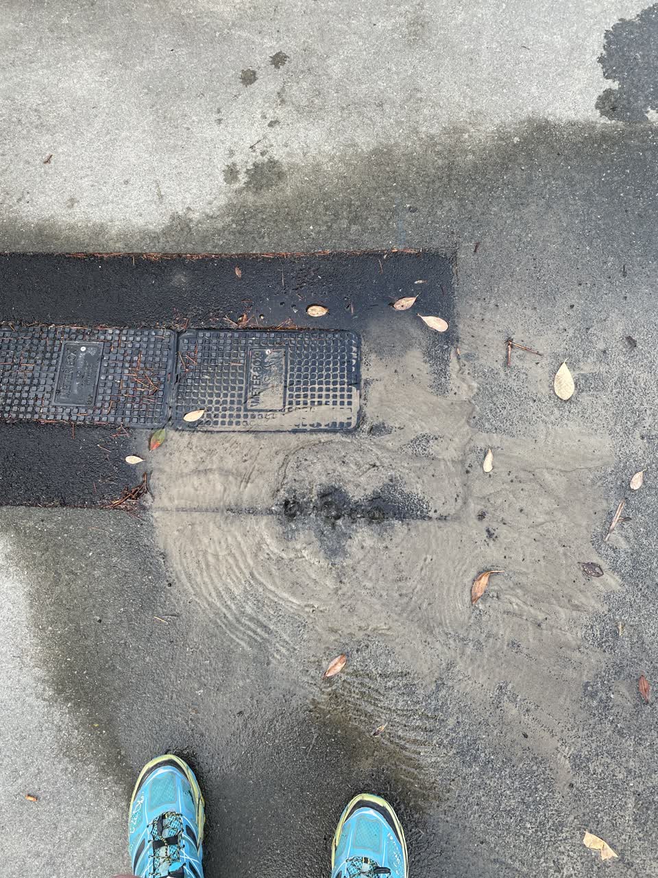 The photograph attached to this water leak report