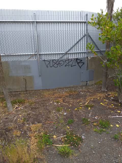 Graffiti, a report photo