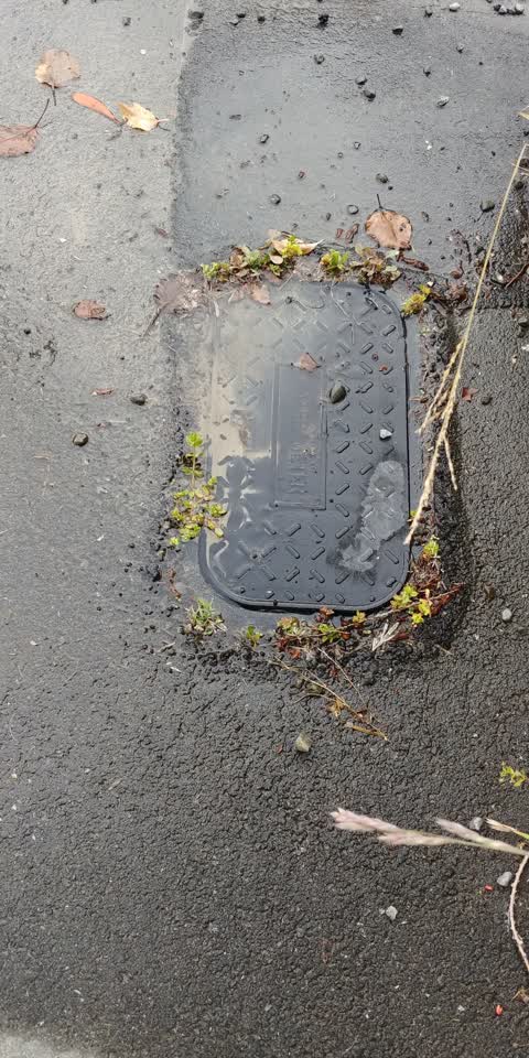 Water Leak, a report photo