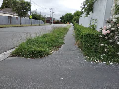 Roading/Streets, a report photo