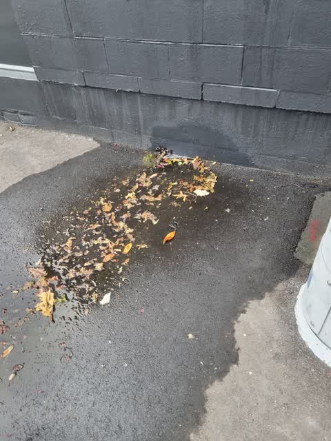 Water Leak, a report photo