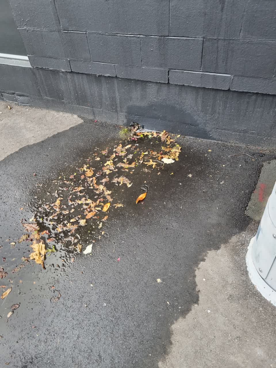 The photograph attached to this water leak report