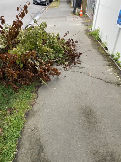 Roading/Streets, a report photo