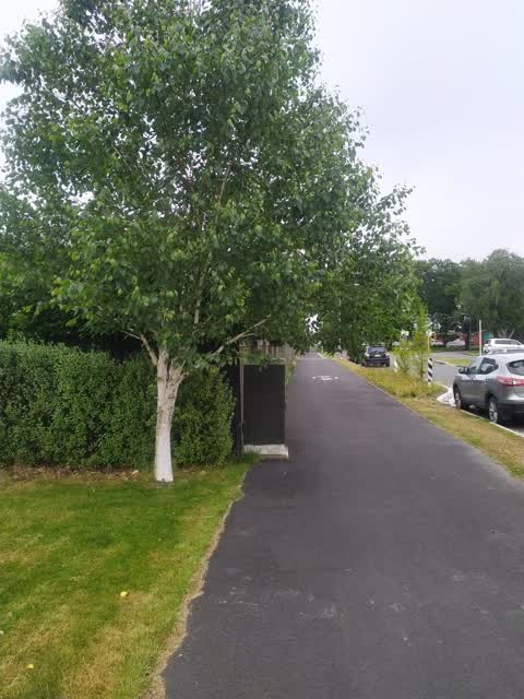 Roading/Streets, a report photo