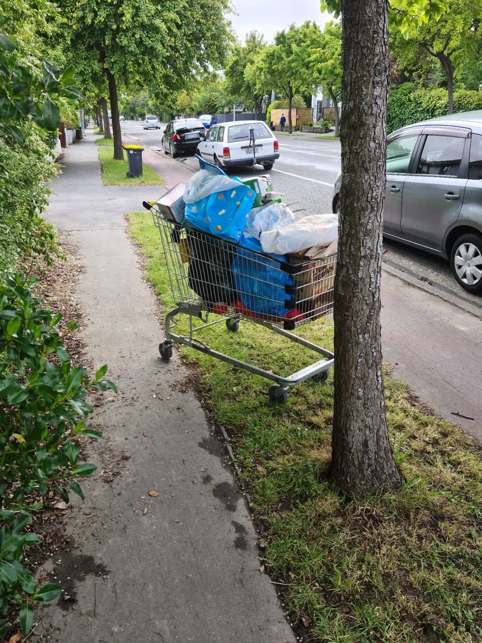 The photograph attached to this rubbish/recycling report