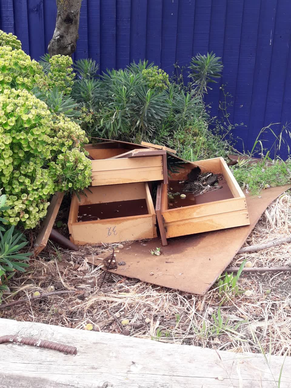 The photograph attached to this parks report