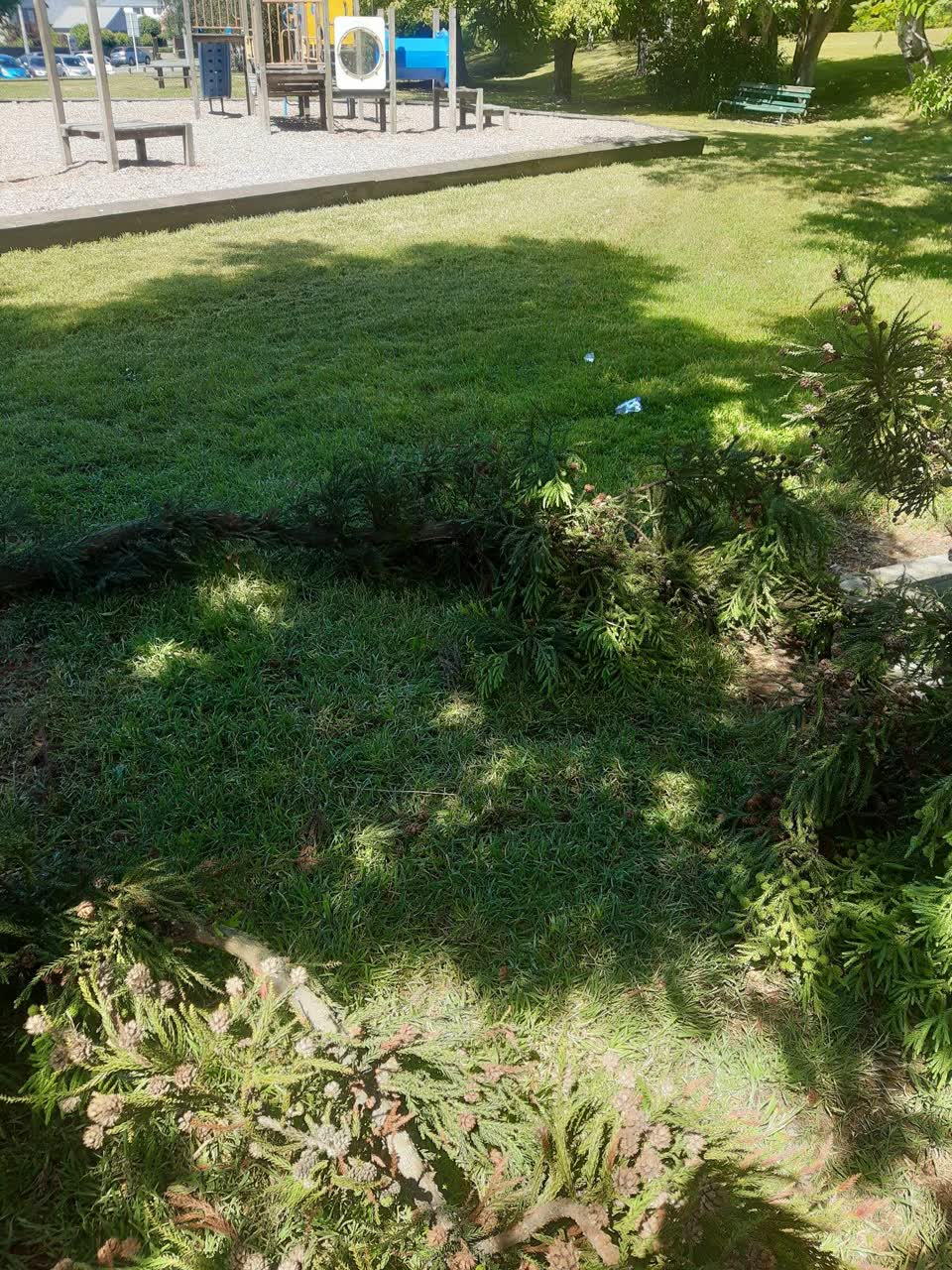 The photograph attached to this parks report