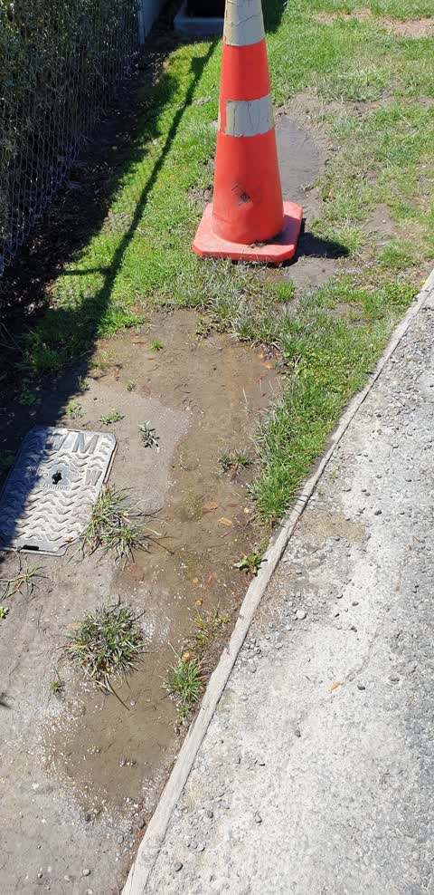 Water Leak, a report photo