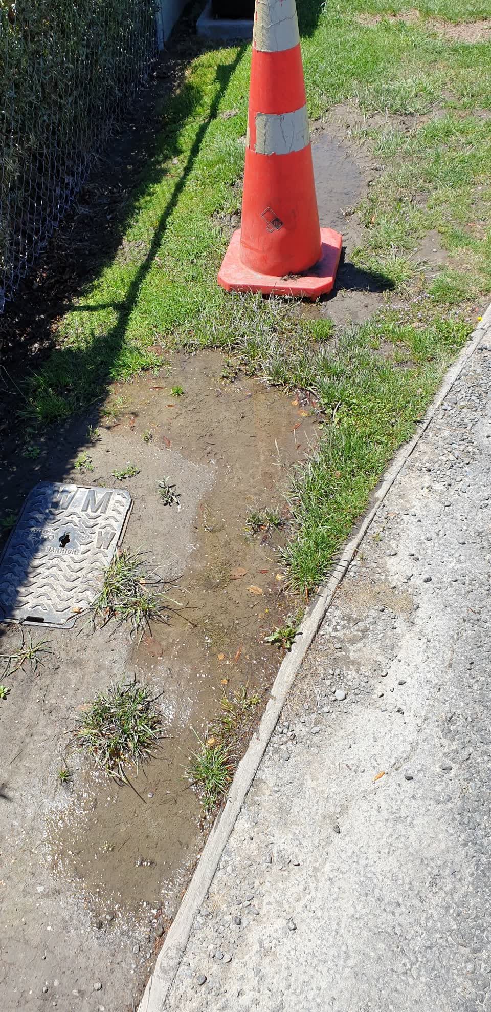 The photograph attached to this water leak report