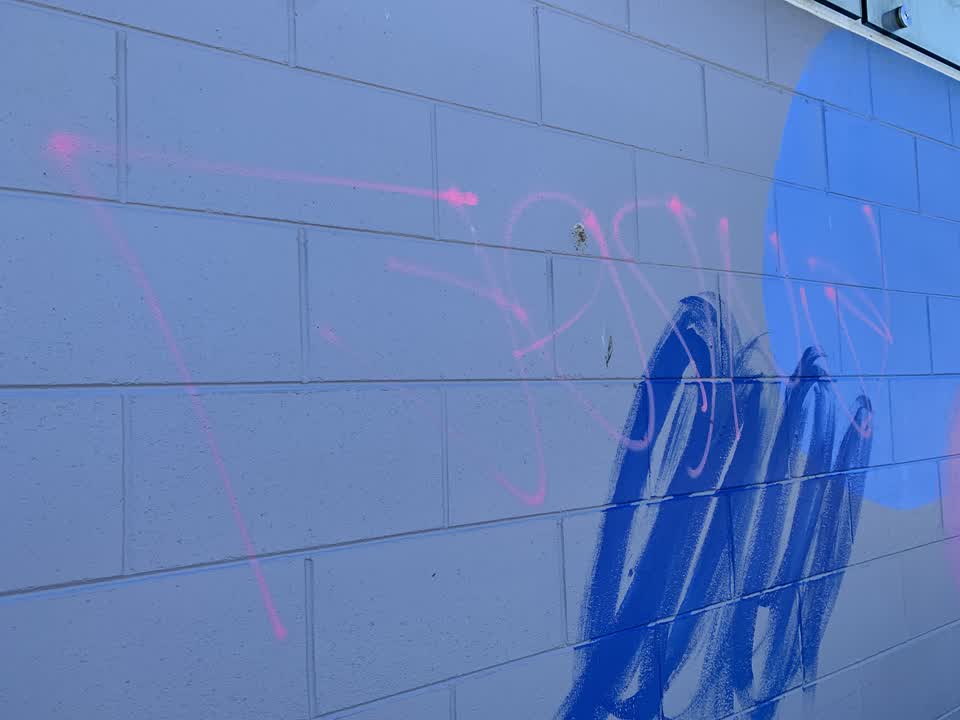 The photograph attached to this graffiti report