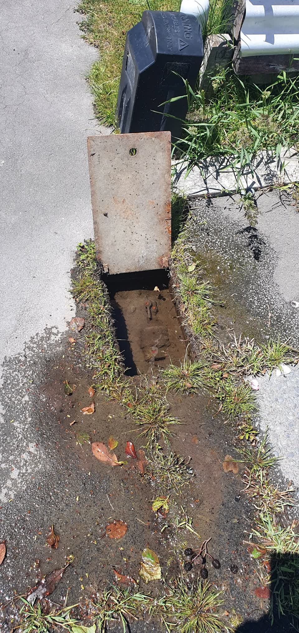 The photograph attached to this water supply report