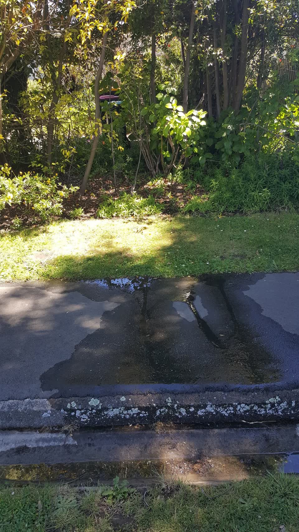 The photograph attached to this water leak report