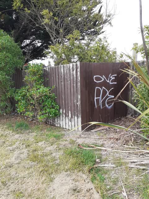 Graffiti, a report photo