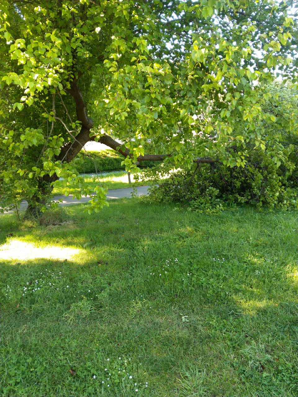 The photograph attached to this parks report