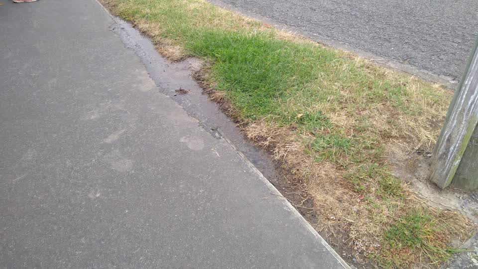 The photograph attached to this water supply report