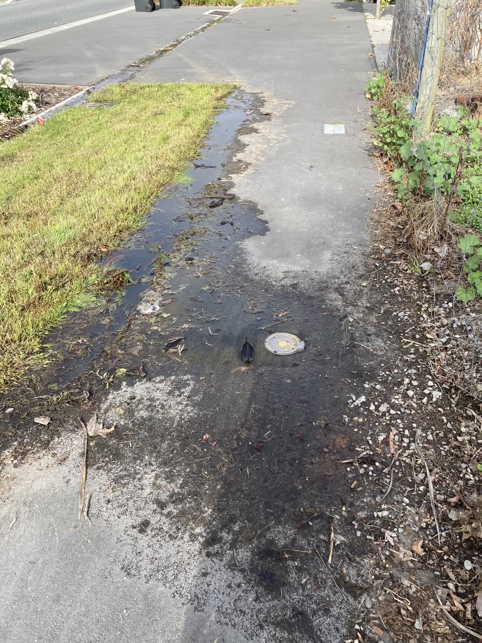 The photograph attached to this water leak report
