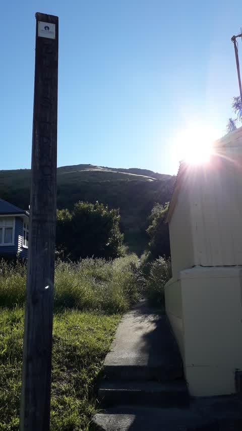 Roading/Streets, a report photo