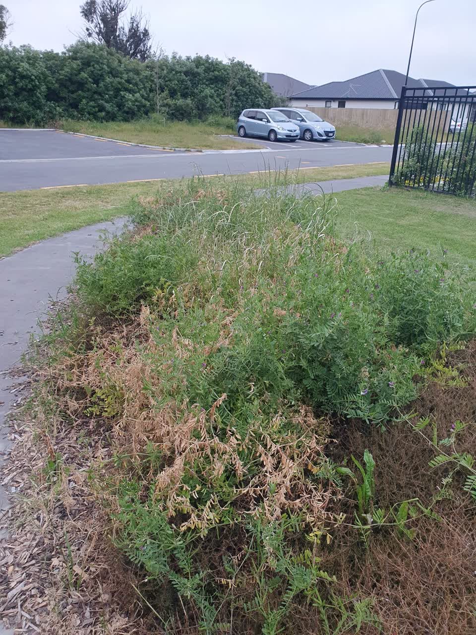 The photograph attached to this parks report