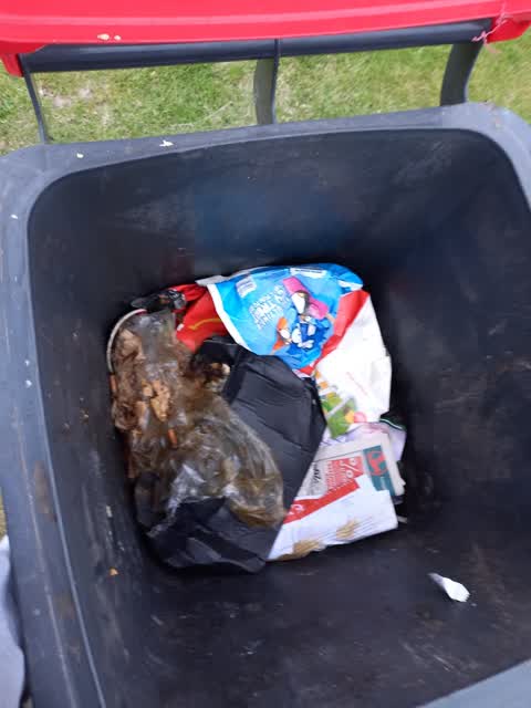 Rubbish/Recycling, a report photo