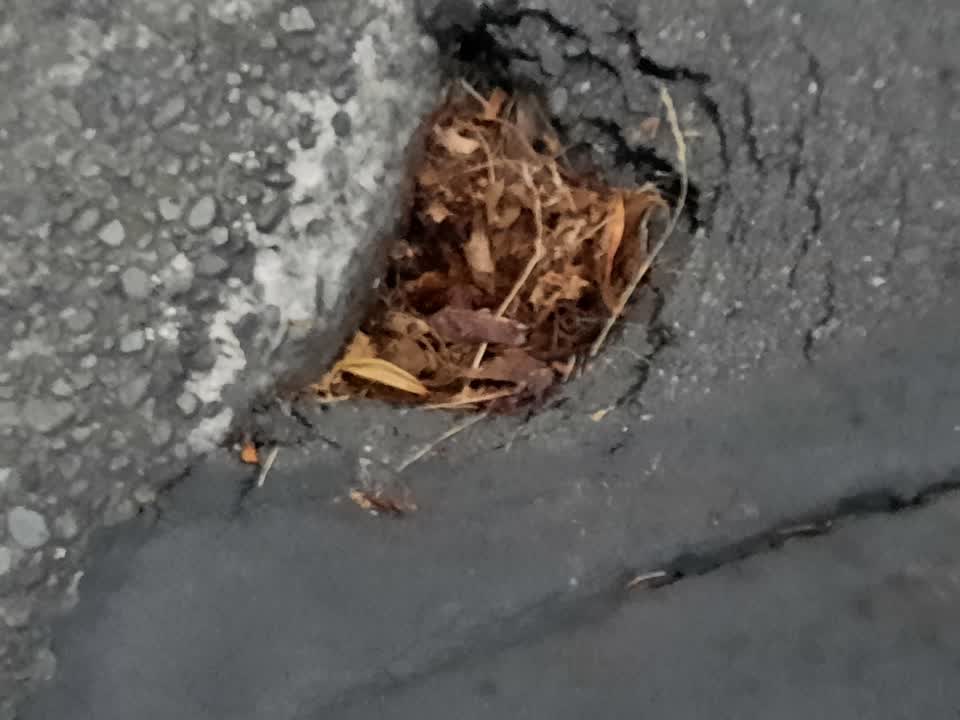The photograph attached to this roading/streets report