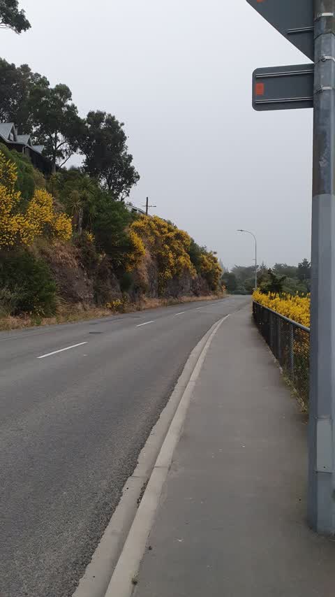Roading/Streets — a report photo