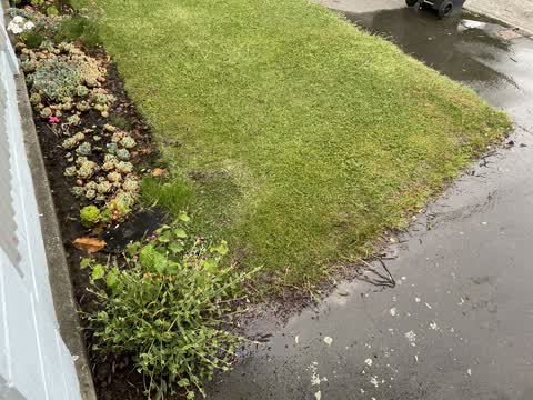 Water Leak, a report photo
