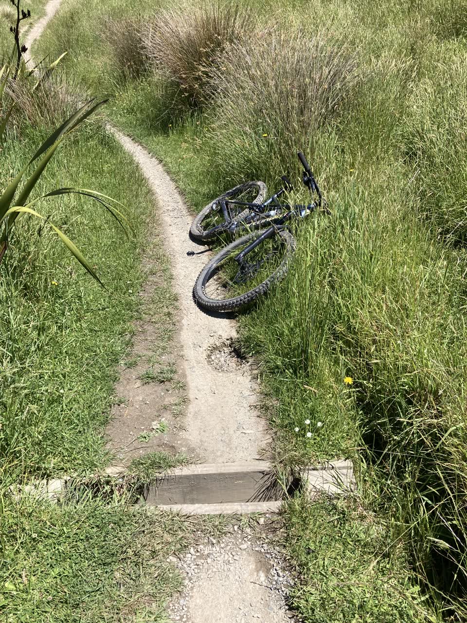 The photograph attached to this parks report