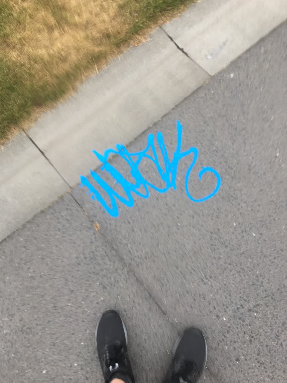 The photograph attached to this graffiti report
