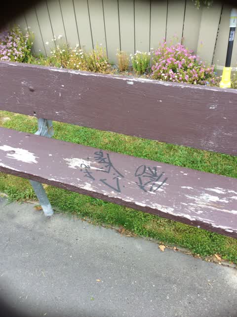 Graffiti, a report photo