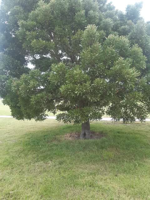 Parks, a report photo
