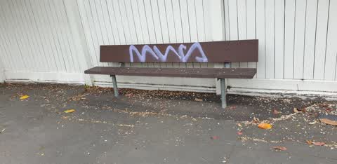 Graffiti, a report photo