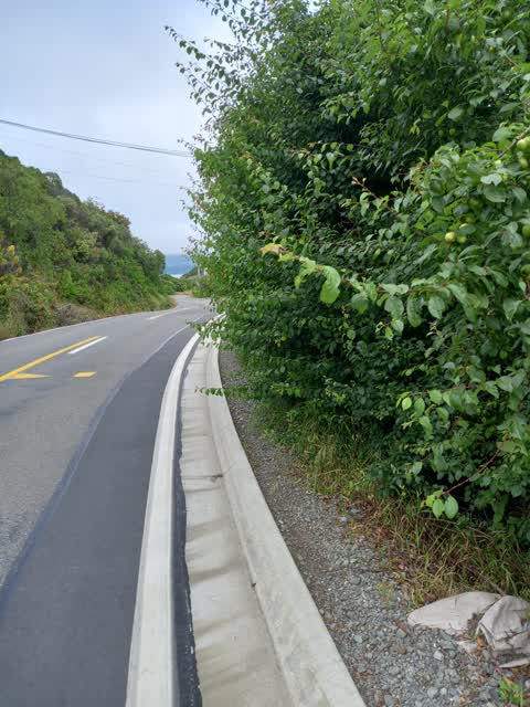 Roading/Streets, a report photo