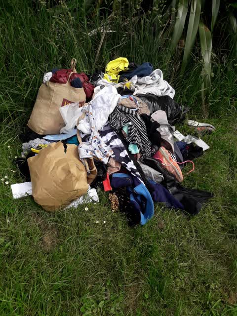 Parks — a report photo