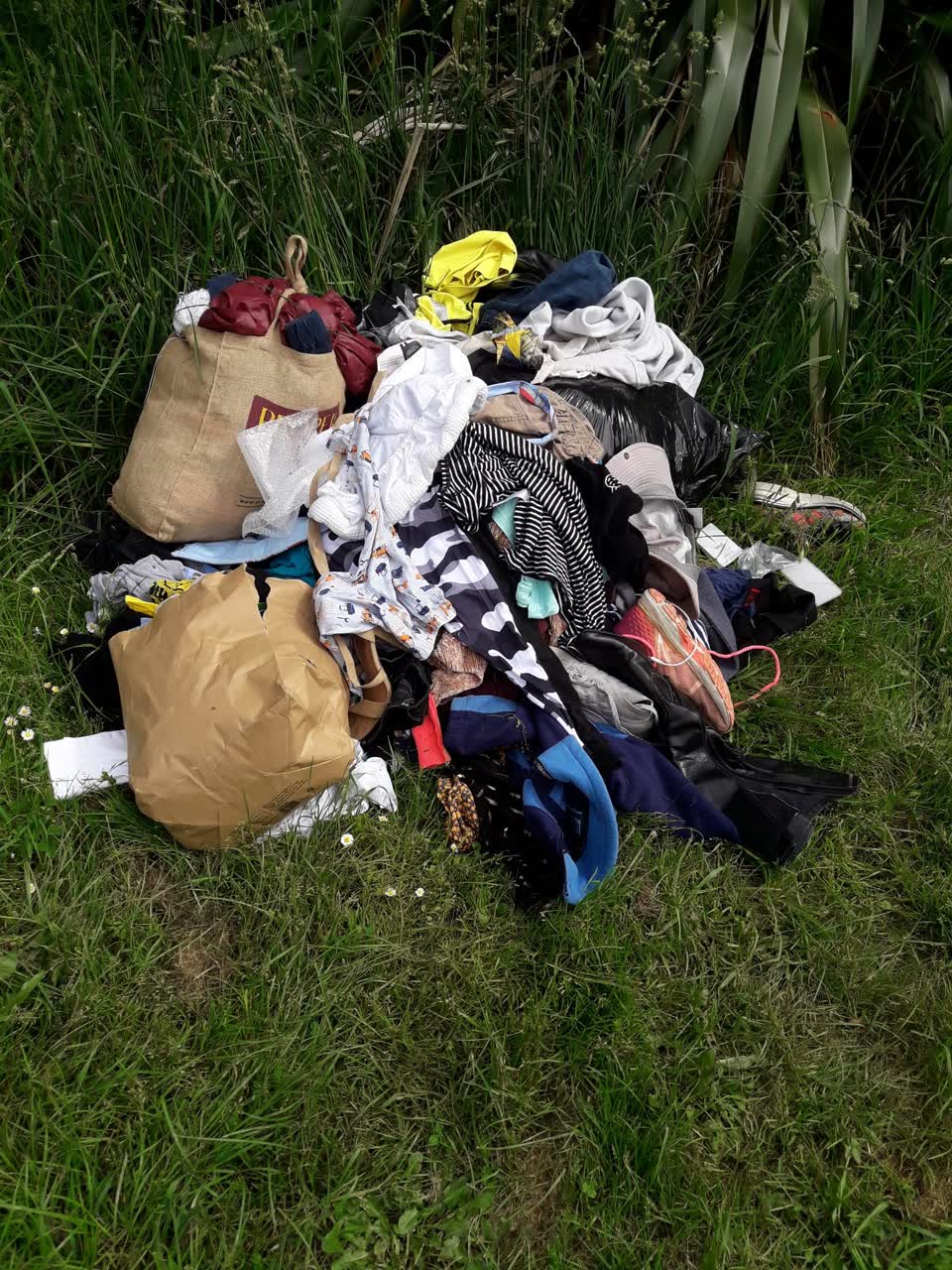 The photograph attached to this parks report