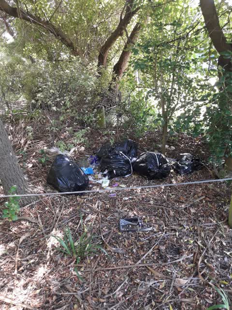 Parks, a report photo