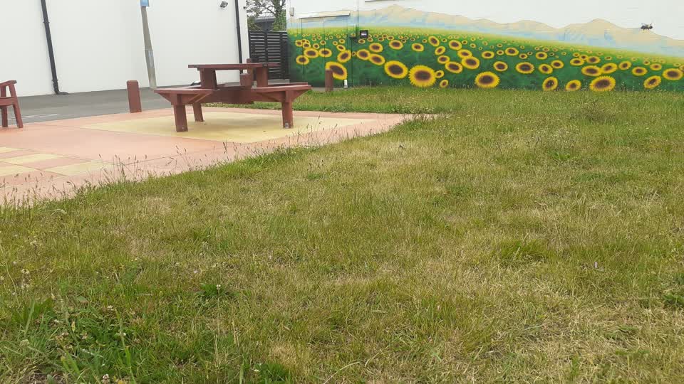 The photograph attached to this parks report