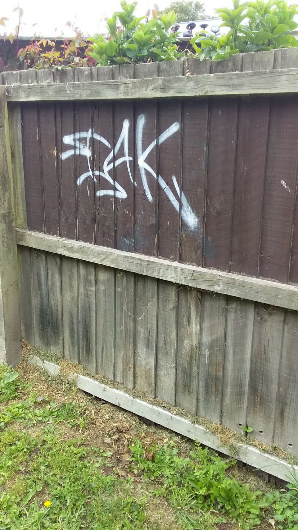 The photograph attached to this graffiti report
