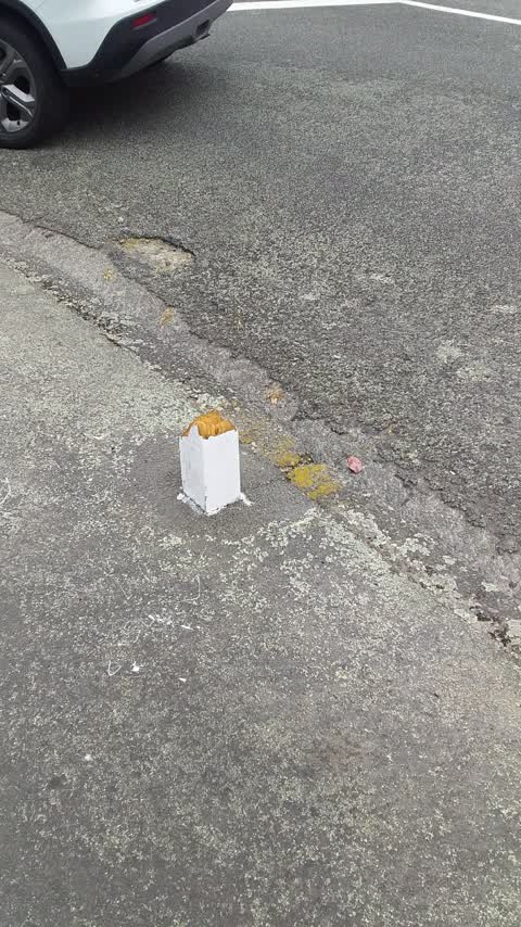 Roading/Streets, a report photo