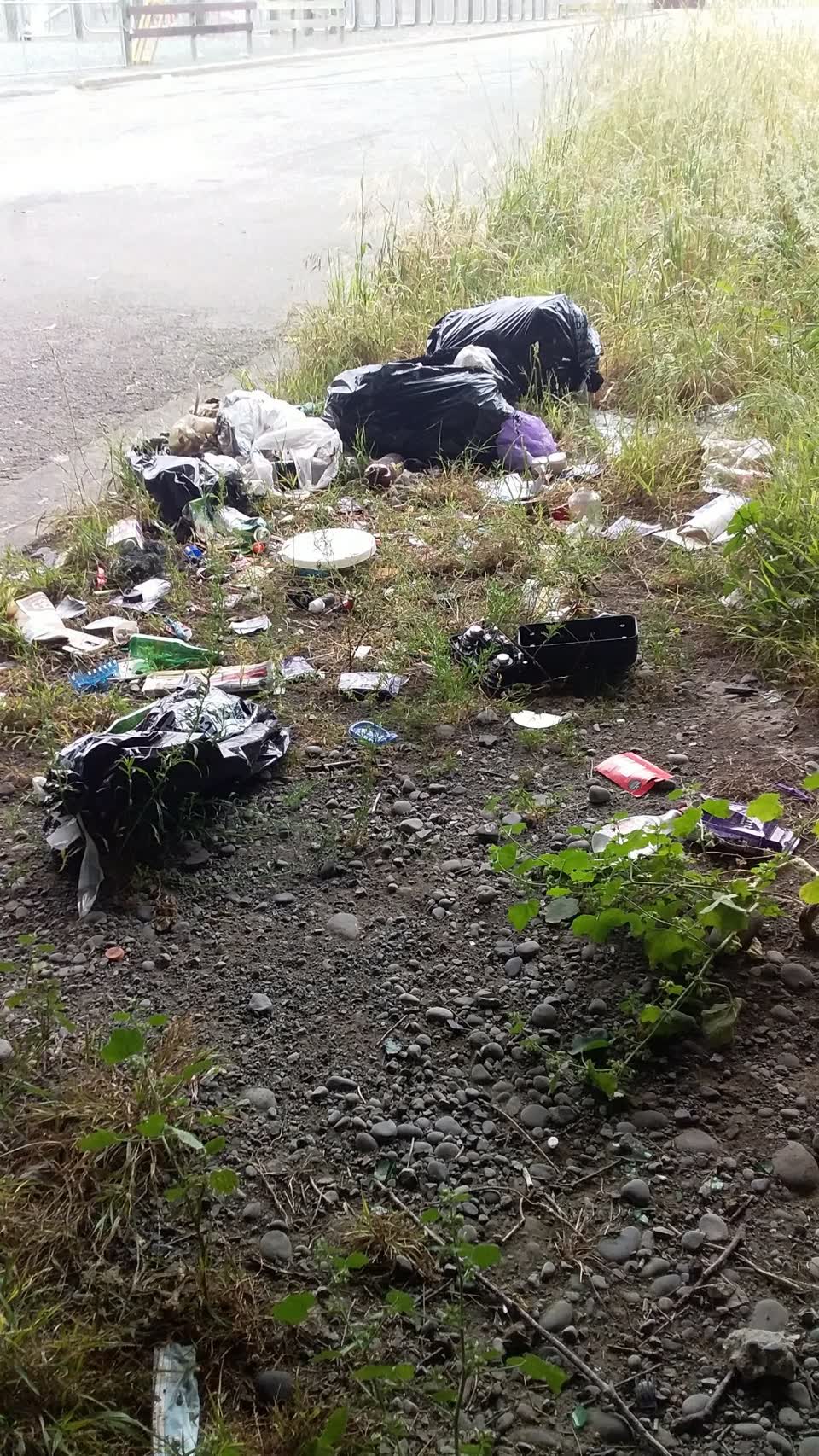 The photograph attached to this rubbish/recycling report