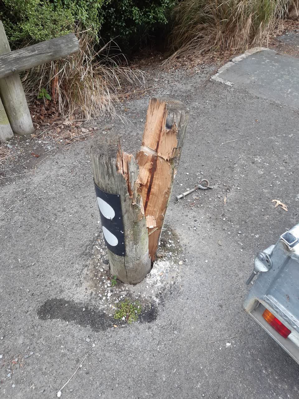 The photograph attached to this parks report