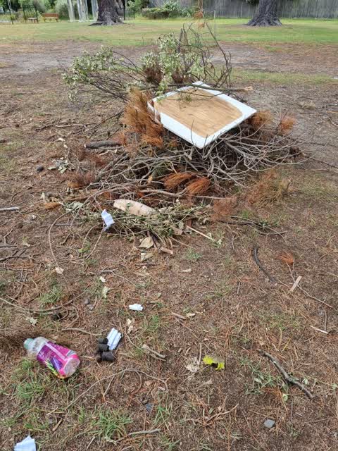 Rubbish/Recycling — a report photo
