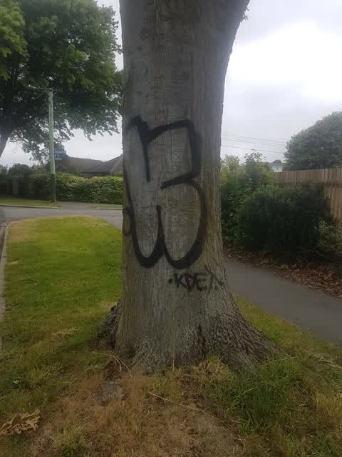 Graffiti, a report photo
