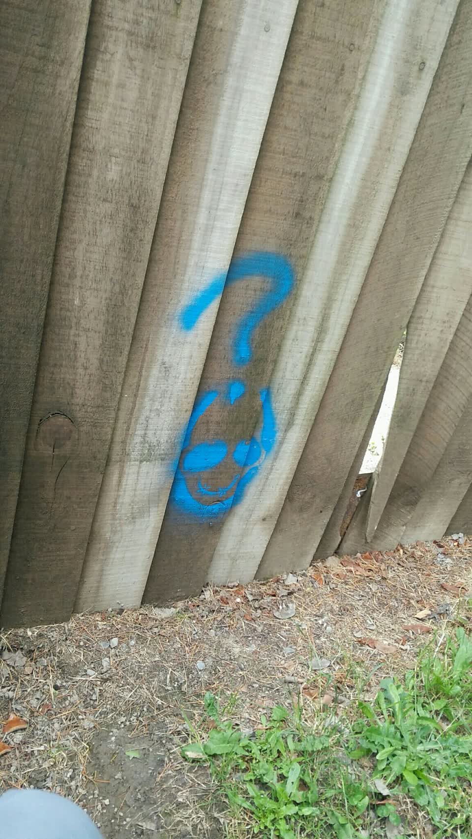 The photograph attached to this graffiti report