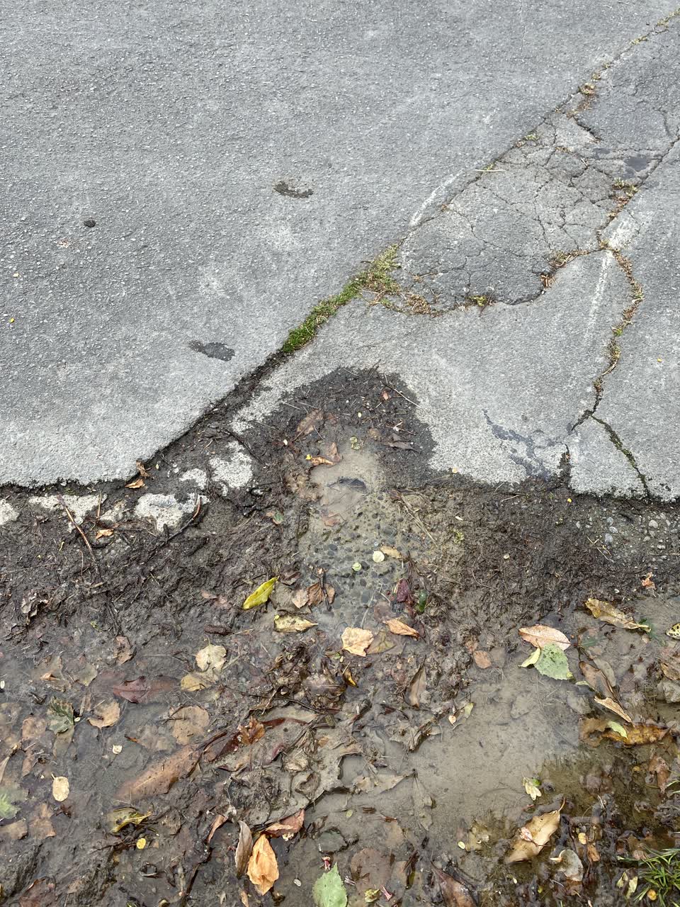 The photograph attached to this water leak report