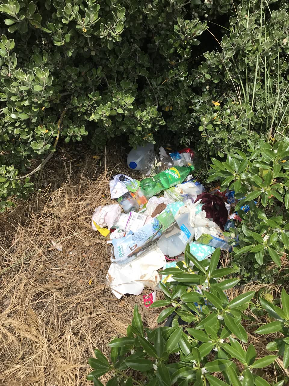 The photograph attached to this rubbish/recycling report