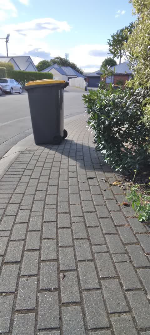Roading/Streets, a report photo